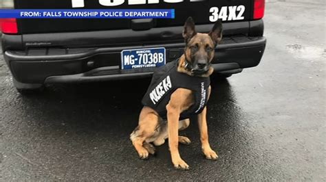 Leo The Police K9 Receives Protective Body Armor 6abc Philadelphia