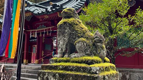 Explore The Enchanting Differences Between Shrines And Temples In Japan