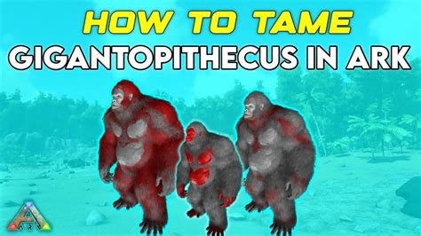 HOW TO TAME GIGANTOPITHECUS IN ARK MOBILE SOLO EASY ARK MOBILE