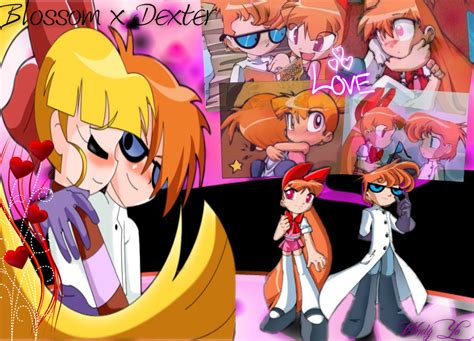 Blossom x Dexter - PPGD. by RyuuseiInazuma on DeviantArt