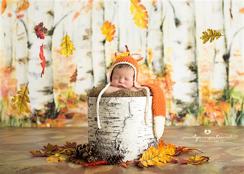 Fall Photography Backdrop Autumn Photography Background Birch Trees