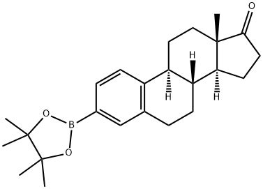 Estra 1 3 5 10 Trien 17 One 3 4 4 5 5 Tetramethyl 1 3 2 Dioxaborolan