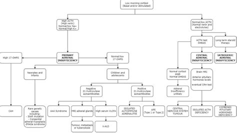 Diagnostic Algorithm For Adrenal Insufficiency Download Scientific