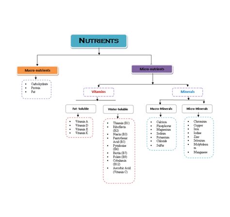 Understanding ‘micro’ And ‘macro’ Nutrients “getting To The Nut Of The Matter ” Almonds And