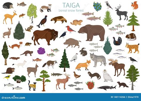 Taiga Biome Map