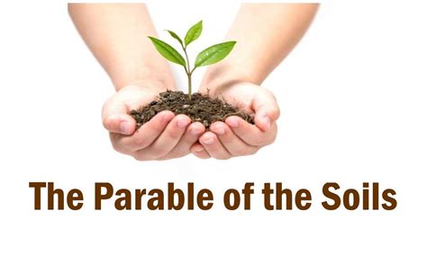 The Parable Of The Soils Ppt Download