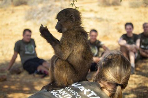 Volunteer at the Namibia Wildlife Sanctuary | The Great Projects