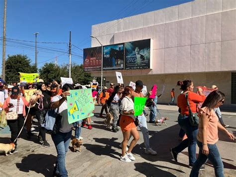 Marchan En Torre N Para Exigir Que Se Endurezcan Penas Por Maltrato Y