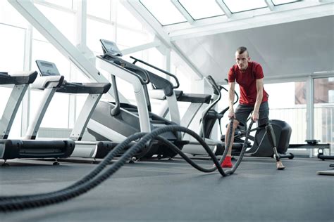 What Are The Types Of Cardiovascular Exercise - Infoupdate.org