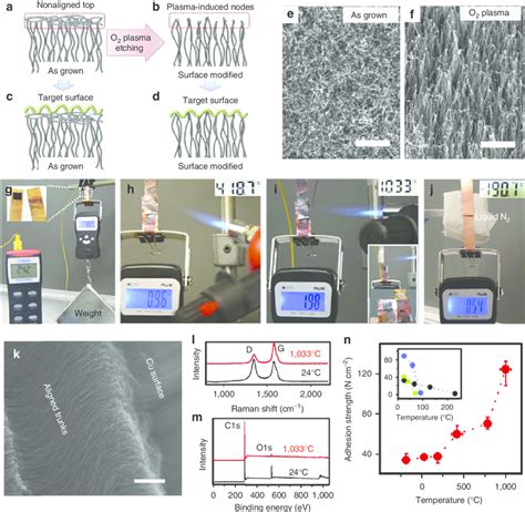 Adhesion Enhancement Of The Carbon Nanotube Cnt Adhesive At High Download Scientific