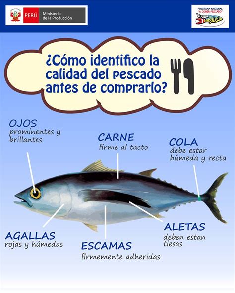 Aprende A Identificar Un Pescado Fresco A Comer Pescado