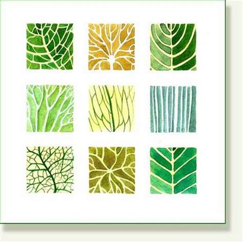 leaf venation chart | Leaves, Kids art projects, Botanical illustration