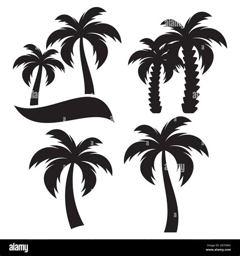 Vector Conjunto De Siluetas De Palmeras Tropicales Ilustraci N Aislada