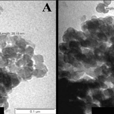 SEM Micrograph Showing The Nanostructure Of Mg Bioactive Glass A And