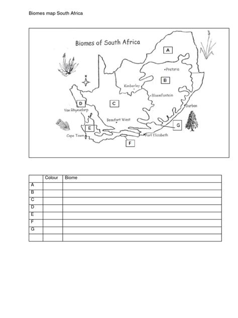 Biomes Map South Africa 2024 | PDF