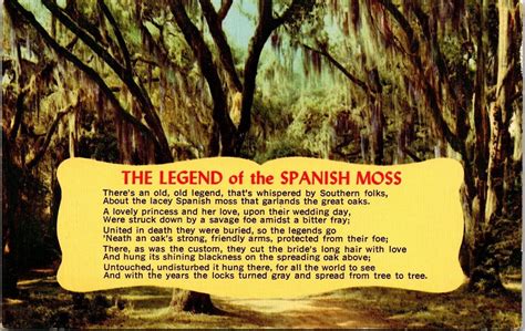 Historic Legend Of Spanish Moss Poem Florida Swamp Landscape DB