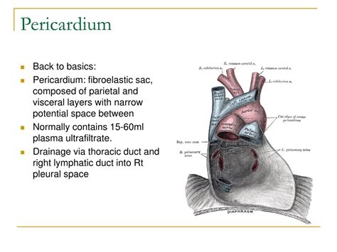 Ppt Ekg Rounds Powerpoint Presentation Free Download Id 5390875