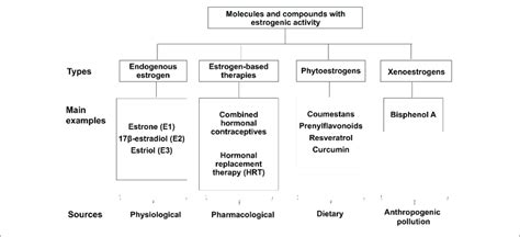 | Molecules with estrogenic activity. Classification of the various ...