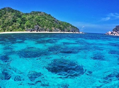 One Of The Worlds Clearest Waters To Swim In Linapacan Palawan