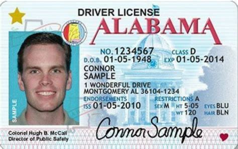 Alabama Driver License Requirements - DrivingTips.com