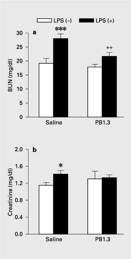 Sialyl Lewis X And Anti P Selectin Antibody Attenuate