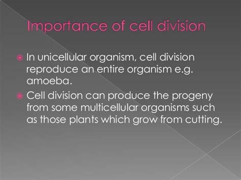 Importance Of Cell Division