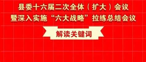 【一图解读】县委十六届二次全体（扩大）会议暨深入实施“六大战略”拉练总结会议关键词王文佳工作陈景