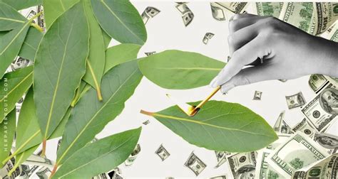 How To Burn Bay Leaves To Attract Money In Steps