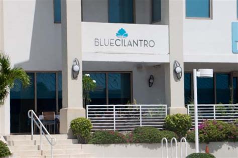 Blue Cilantro - Cayman Restaurants