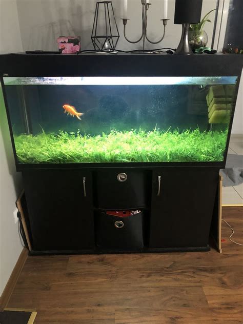 Аквариум с тумбой 250 литров