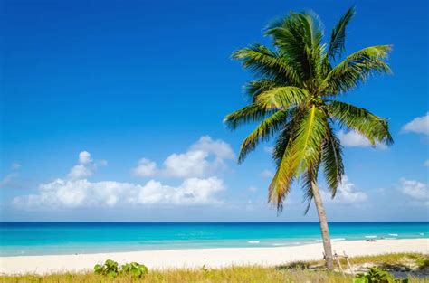 Are The Cayman Islands Safe To Visit Traveler Lust