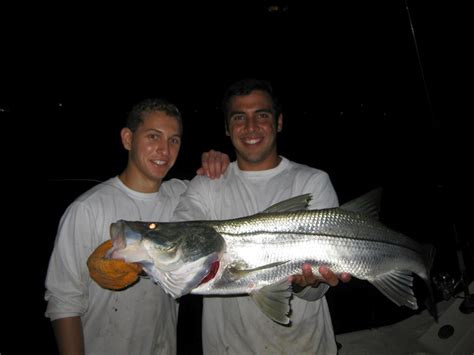 Snook Fishing in Government Cut Miami Florida - Double Threat Charters