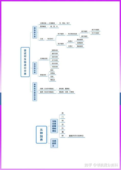 初二八年级上册生物思维导图 知乎