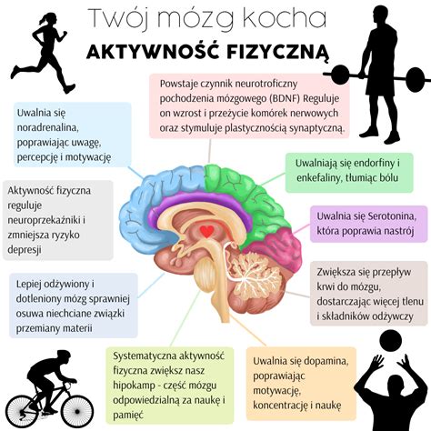 Jak Aktywno Fizyczna Wp Ywa Na Tw J M Zg I Cia O Poznaj Korzy Ci Dla