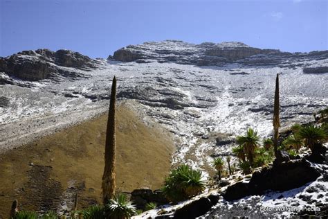 Ras Dashen Mountain Photo by | 9:20 am 5 Mar 2014