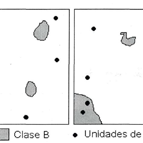 Muestreo Aleatorio Simple Ocho Sitios Al Azar Y Aleatorio Download Scientific Diagram