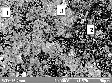 Microstructure And Chemical Composition Of Surface Of 2024 Aluminium