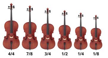 size cello    hidersine orchestral instruments