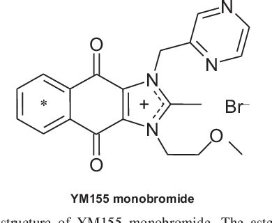 Figure 1 From Carrier Mediated Uptake Of 1 2 Methoxyethyl 2 Methyl 4