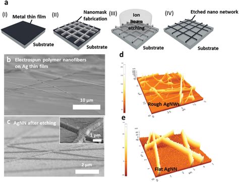 A Schematic Illustration For The Fabrication Of Monolithic Etched Nns