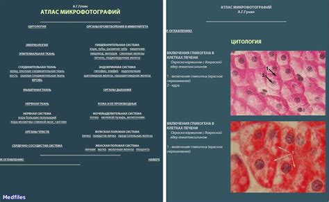 Histology atlas