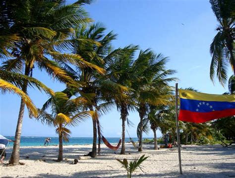 Descubrir Imagen Mejores Playas Venezuela Viaterra Mx