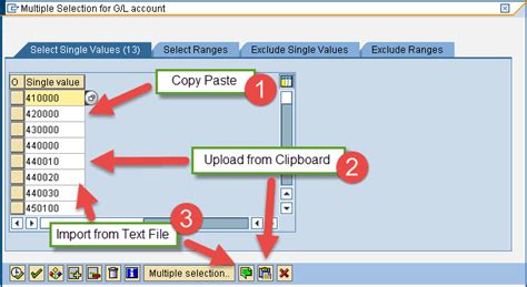 Selection Parameter In Sap