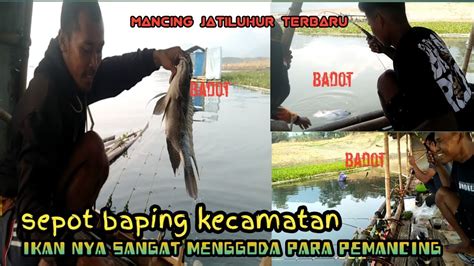 Mancing Jatiluhur Paling Terbaru Aslina D Sepot Ieu Mh Lauk Th Baradag