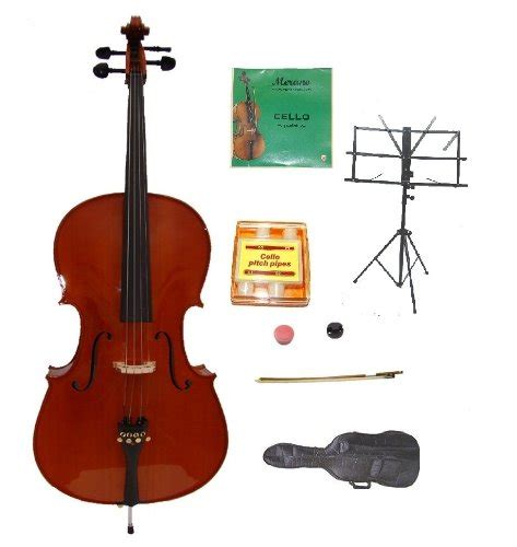 Best Cello Brands: Top 5 You Need to Know - Musiicz