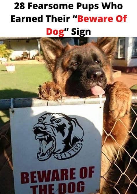 28 Fearsome Pups Who Earned Their Beware Of Dog” Sign Dog Memes