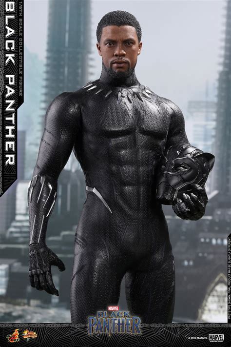 Hot Toys MMS 470 Black Panther Hot Toys Complete Checklist