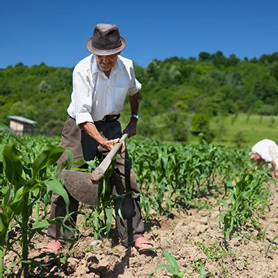 Día del Campesino Festividades del Perú Y tú qué planes