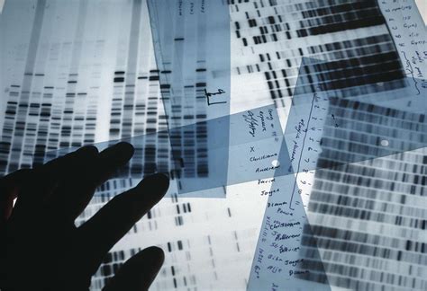 What Is Forensic Dna Testing Dna History And First Used Evidence