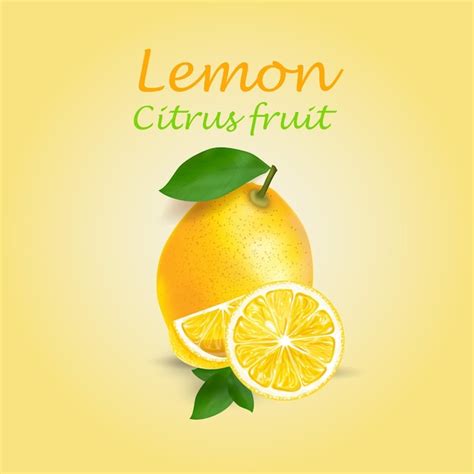 Premium Vector Lemon Fruit Vector Illustration